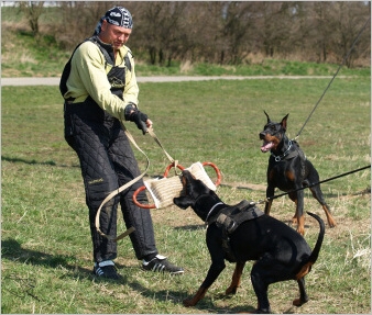 Training in Prague - 2. 4. 2008